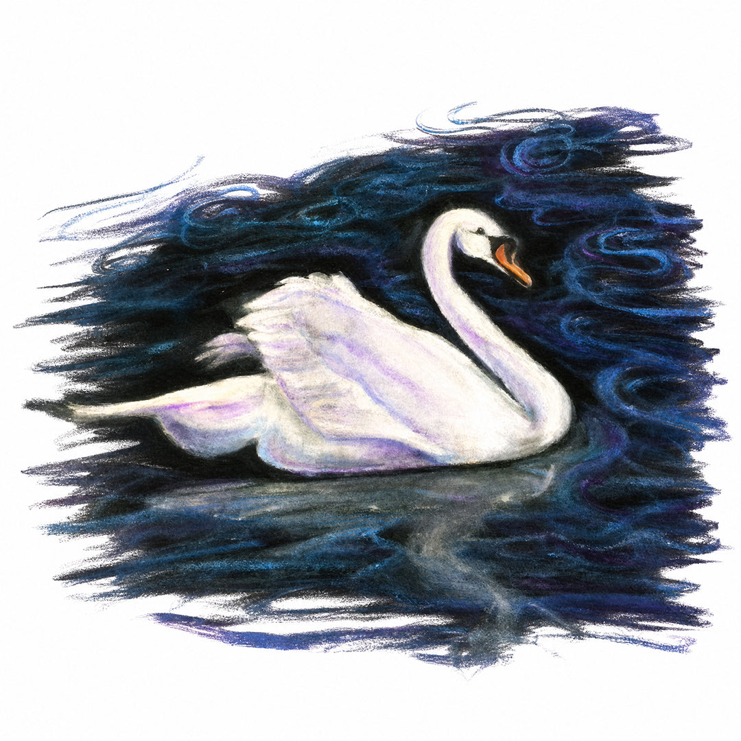 The Swan Pond