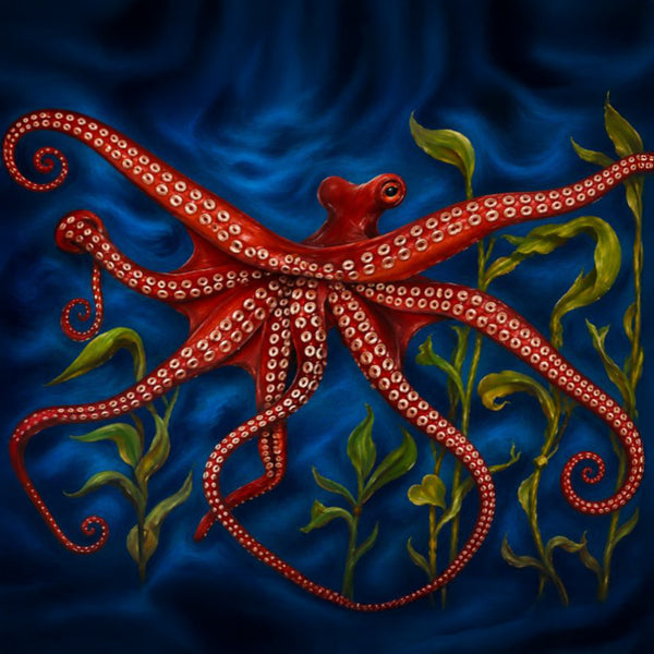 Red Octopus